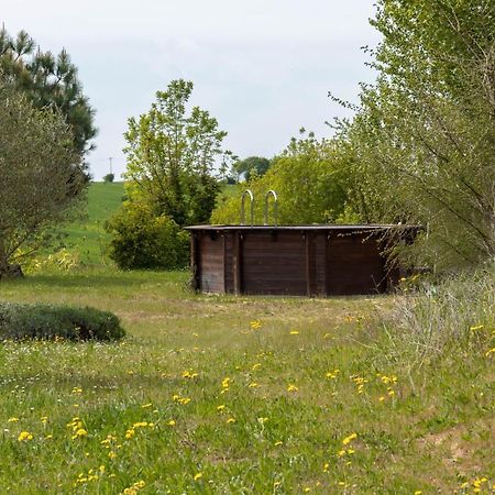 La Découverte, Jacuzzi, Sauna, et Terrasse avec vue sur lac à la campagne entre Toulouse et Auch Catonvielle Extérieur photo