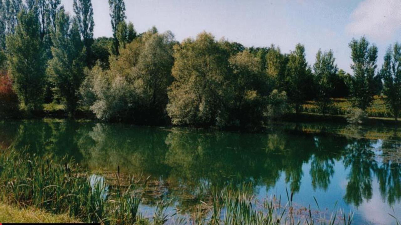 La Découverte, Jacuzzi, Sauna, et Terrasse avec vue sur lac à la campagne entre Toulouse et Auch Catonvielle Extérieur photo