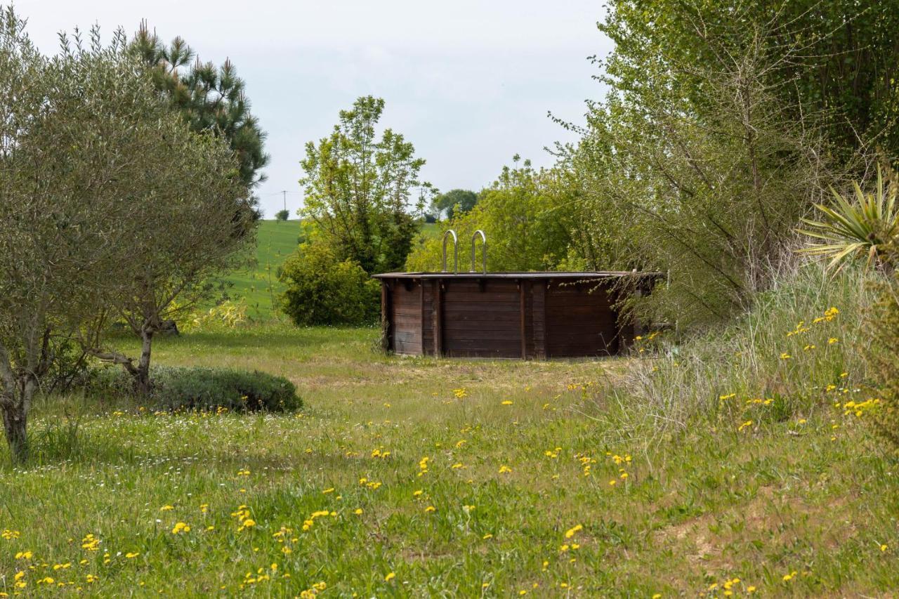 La Découverte, Jacuzzi, Sauna, et Terrasse avec vue sur lac à la campagne entre Toulouse et Auch Catonvielle Extérieur photo