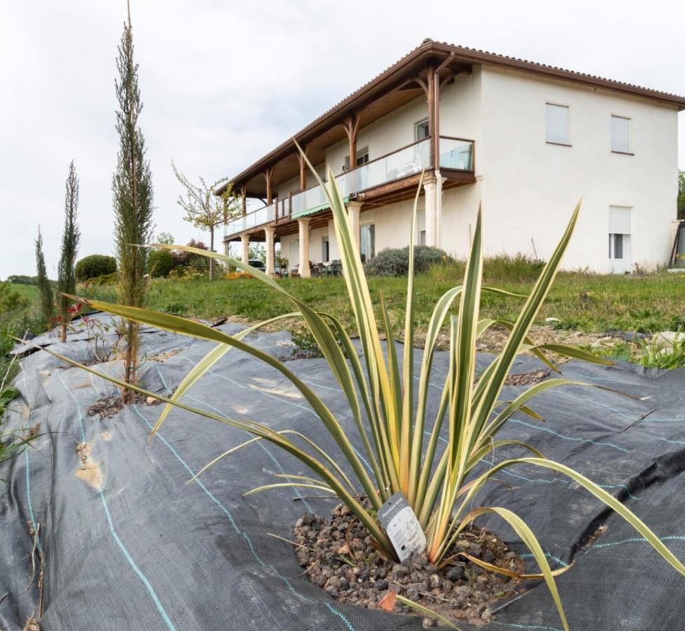 La Découverte, Jacuzzi, Sauna, et Terrasse avec vue sur lac à la campagne entre Toulouse et Auch Catonvielle Extérieur photo